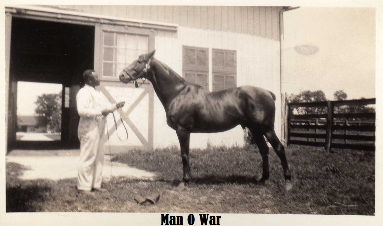 06 Man O War paint